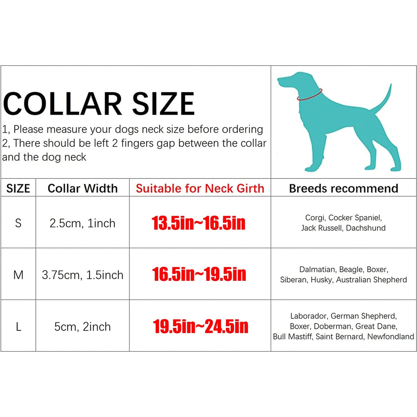 Pet Collars